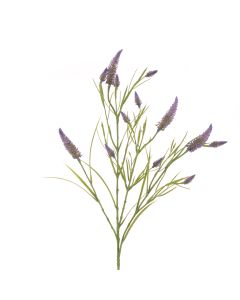 Narrowleaf Crimson Clover 79cm Lavender