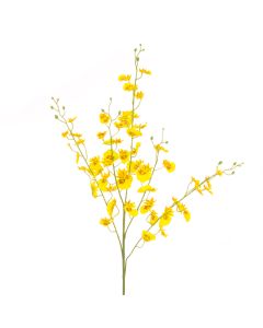 Dancing Orchid Spray 105cm Yellow