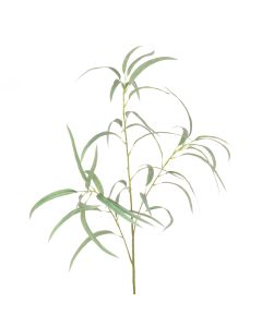 Long Leaf Eucalyptus Spray 91cm