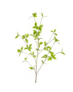 Wild Honeysuckle Spray 109cm