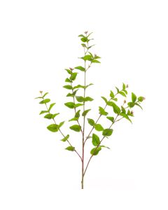 Hypericum Leaf Spray 83cm Green