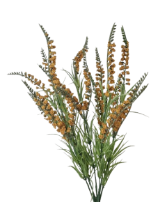 54cm Orange Salvia Bush