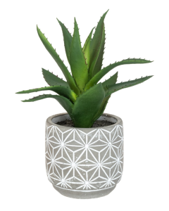 Cactus In Geometric Pot 24cm (P18090)