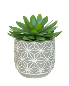 Cactus In Geometric Pot 14cm (P18091)