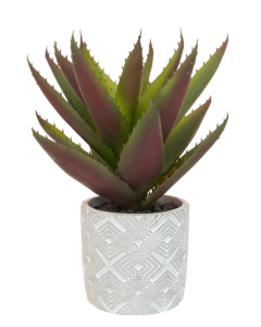 Aloe In Geometric Pot 30cm