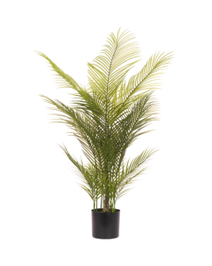 Palm Tree In Pot 127cm