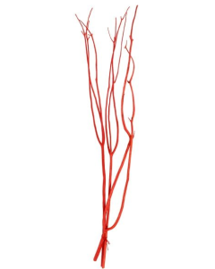 Mitsumata Bundle Red App 100cm