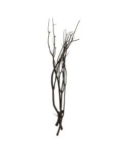 Mitsumata Bundle Black App 100cm