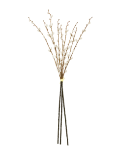 87cm Pussy Willow Hand Tied x 3 Stems