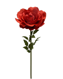 130 x 50cm Red Open Rose Stem