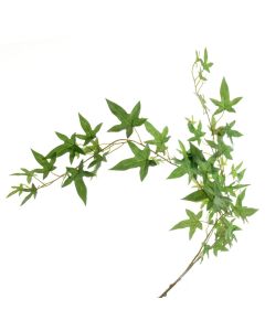 Needle Ivy Trail - Green (94cm long)
