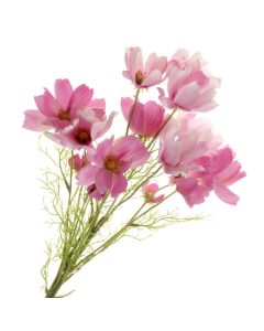 Coreopsis Bundle - Purple/Pink (3 stems, 62cm long)