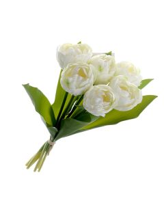 Bi-Coloured Double Tulip Bundle - White (6 heads, 40cm long)
