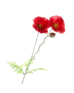 Large Poppy Stem - Red (2 heads & 1 bud, 70cm long)