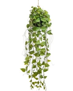 96cm Hanging Pothos Ball