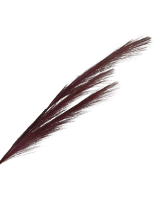 82cm Pampas Grass (Artificial) Spray Burgundy