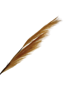 82cm Pampas Grass (Artificial) Spray Copper