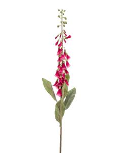 Digitalis Spray Fuchsia 120cm