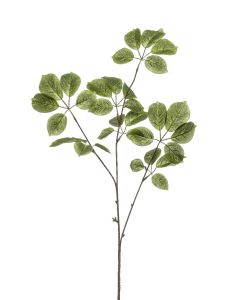 Baby Schefflera Spray Green 87cm