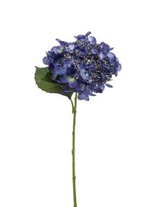 Hydrangea Spray Dk Blue 50cm