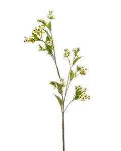 Rose mini Spray White/Green 92cm