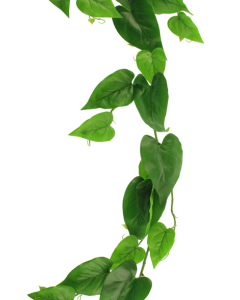 180cm Devil Ivy Garland Green