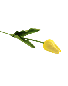 50cm Tulip Yellow
