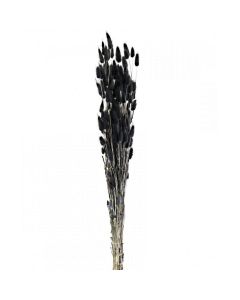 Lagarus/Bunny Tails Black (App 80g)
