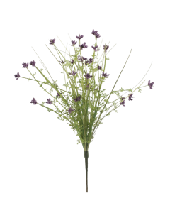 Meadow Werbena 48cm - Purple