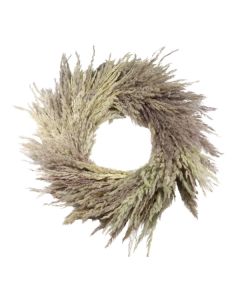 48cm Pampas Wreath Natural