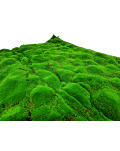 100cm Artificial Moss Tile - Green (100cm x 100cm)