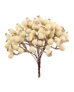14cm Snowberry Bundle Cream