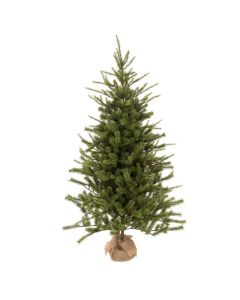 Spruce Pine In Burlap 183cm (New)