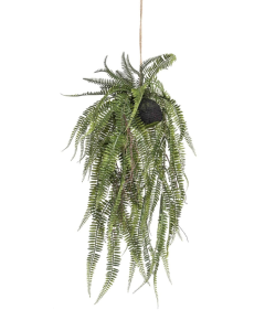 Fern Bush Hanging On Ball 70cm