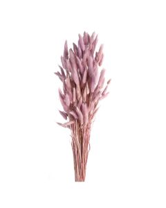 Lagarus/Bunny Tails Lilac (App 80g)