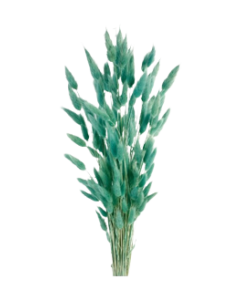 Lagarus/Bunny Tails Teal (App 80g)