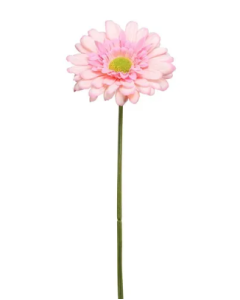 Single Gerbera 72cm Pink