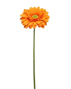 Single Gerbera 72cm Orange