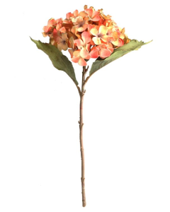 46cm Dried Image Hydrangea Orange