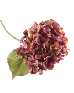 46cm Dried Image Hydrangea Purple