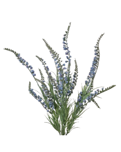 54cm Blue Salvia Bush