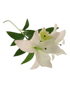 103cm Giant Tiger Lily Spray With Bud White