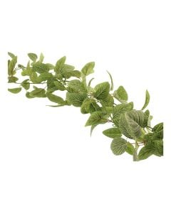 180cm Fittonia Garland Green/White
