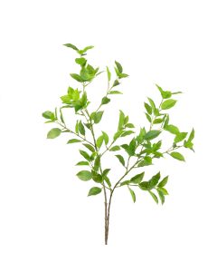 Mini Ficus Real Touch Green 98cm Green