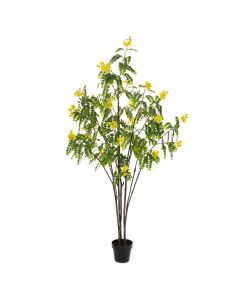 Sunshine Tree 210cm