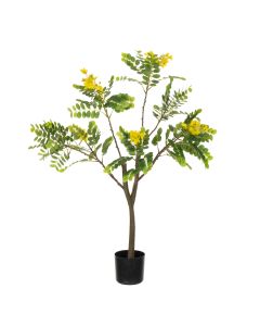Sunshine Tree 94cm