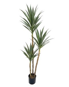 Artificial Yucca Tree In Pot 180cm UV Protected