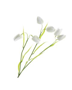 Artificial Fritillaria - White/Green (6 heads, 65cm long)