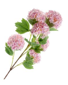 Snowball Viburnum Bush - Light Pink (6 heads, 96cm long)