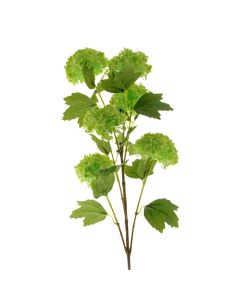 Snowball Viburnum Bush - Green (6 heads, 96cm long)